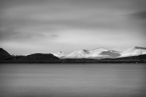 2009_12_31_3701_dev1