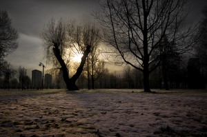 2010_01_01_3911_dev1