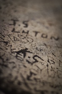 IMG_1286