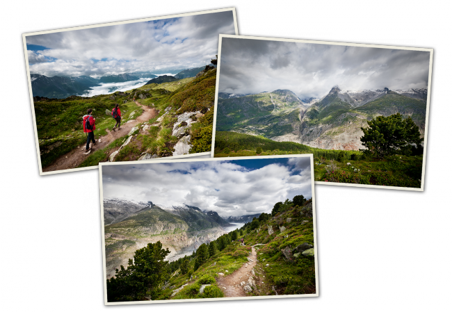 Suisse : le glacier d'Aletsch