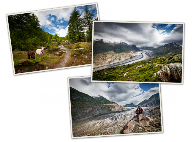 Suisse : le glacier d'Aletsch