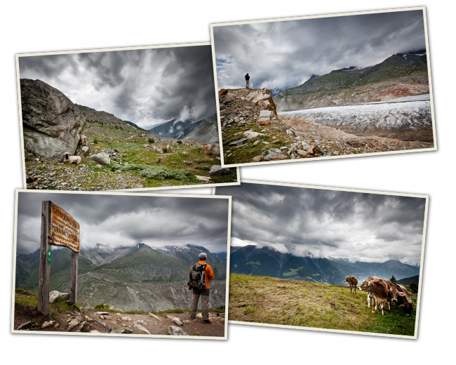 Suisse : le glacier d'Aletsch