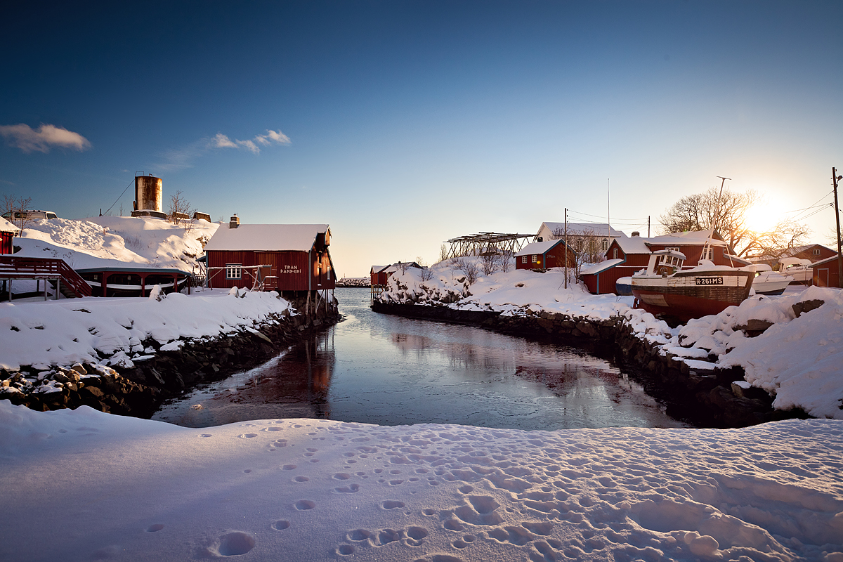 Lofoten en hiver