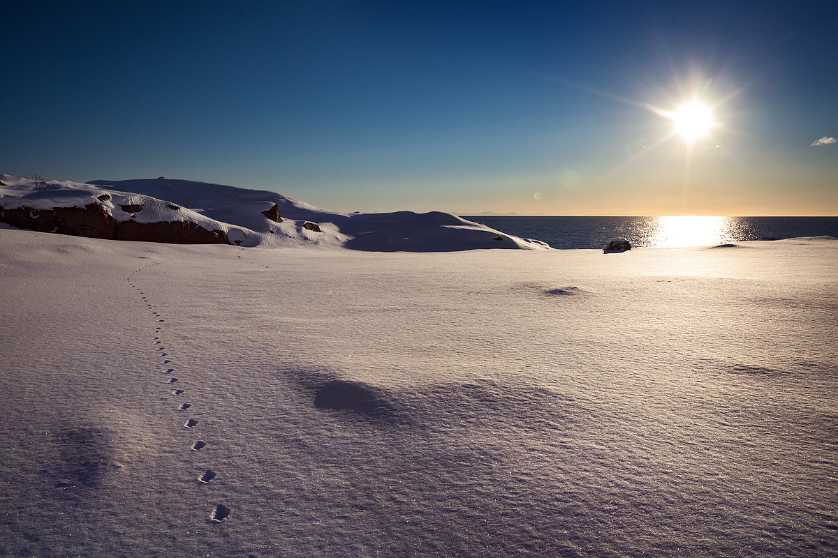 Lofoten en hiver