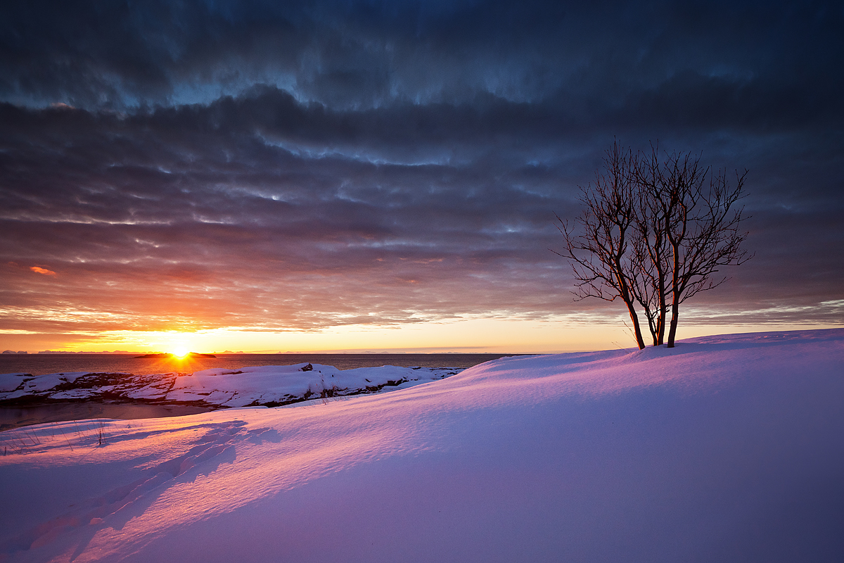 Lofoten en hiver