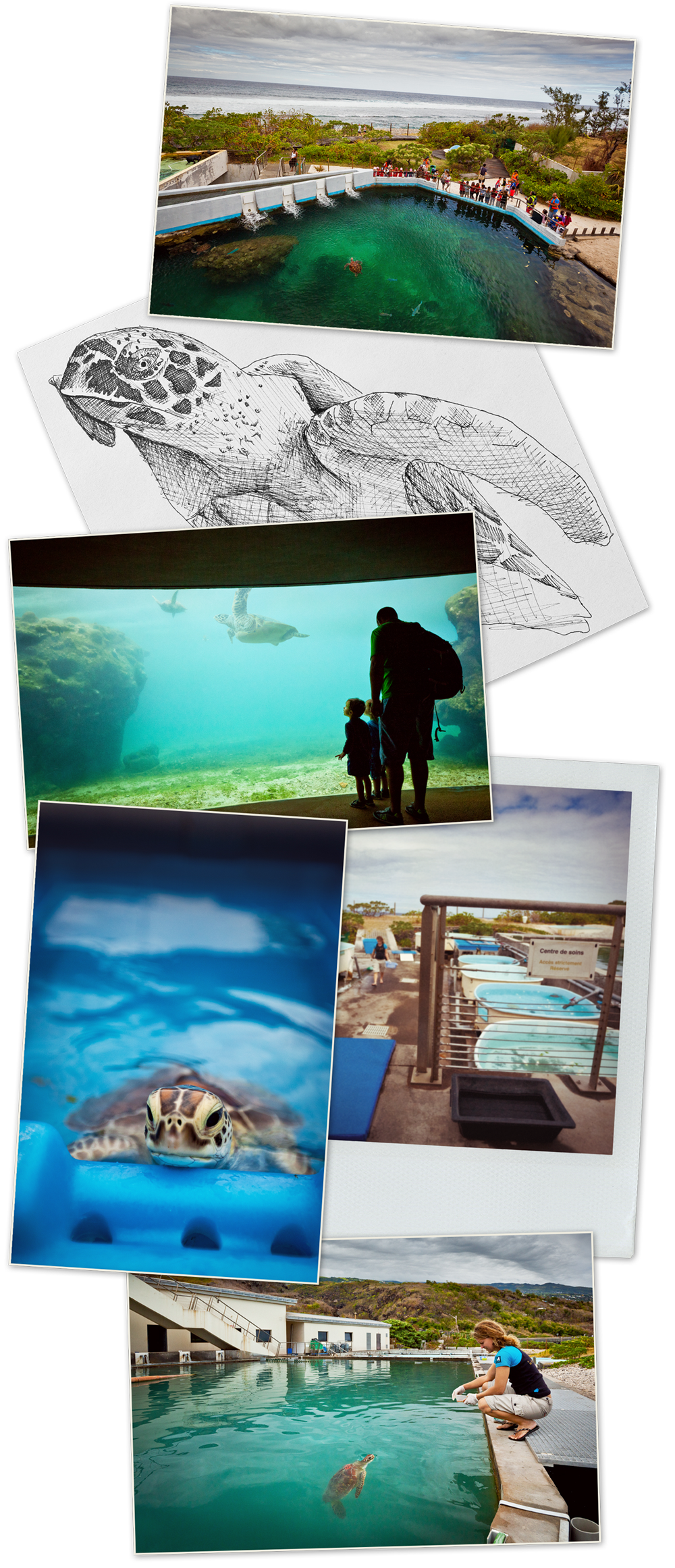 LaReunion_A_004_kelonia