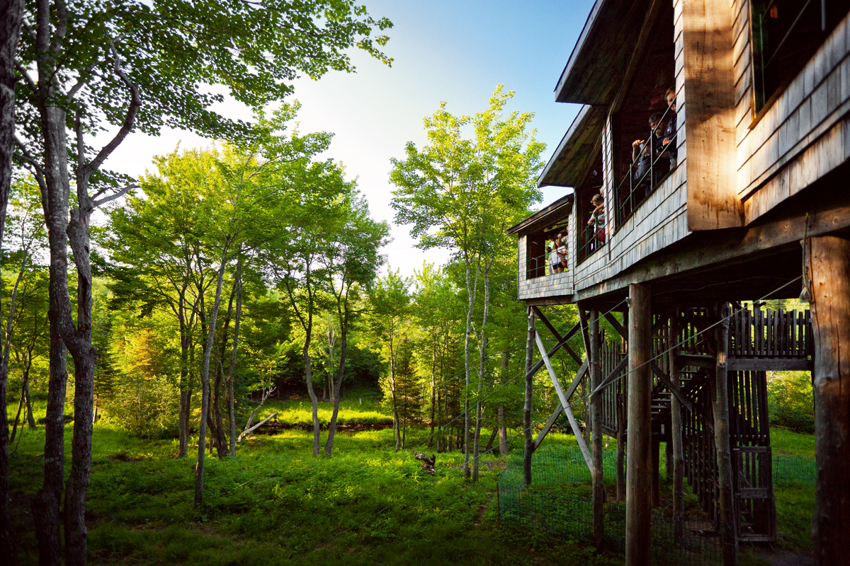 Ours au Nouveau Brunswick