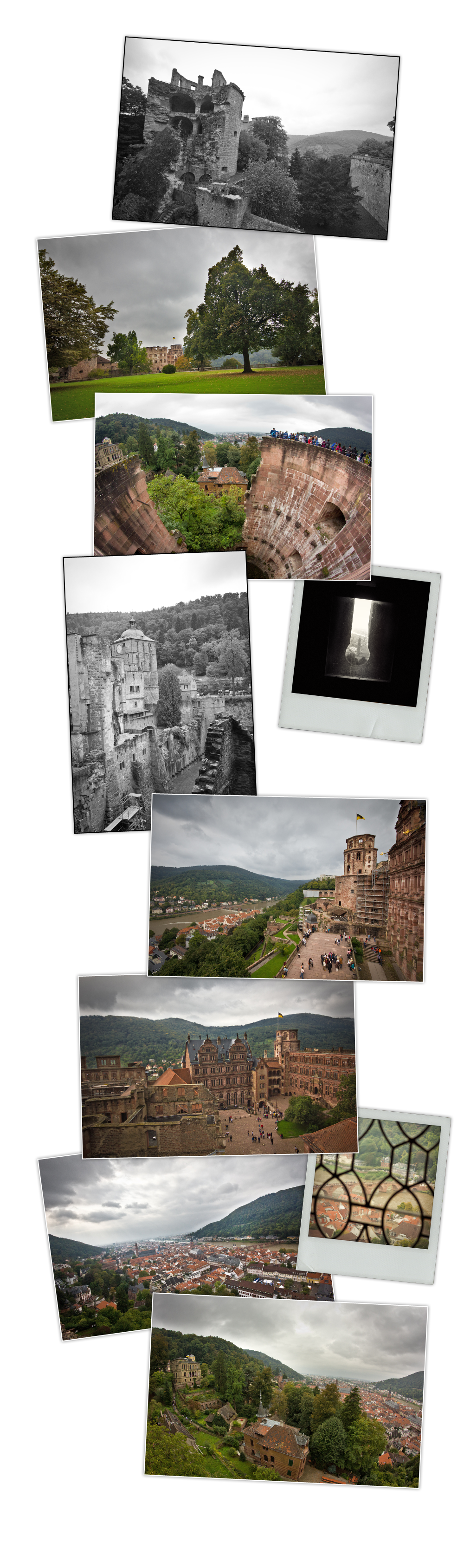 mep Heidelberg _ chateau