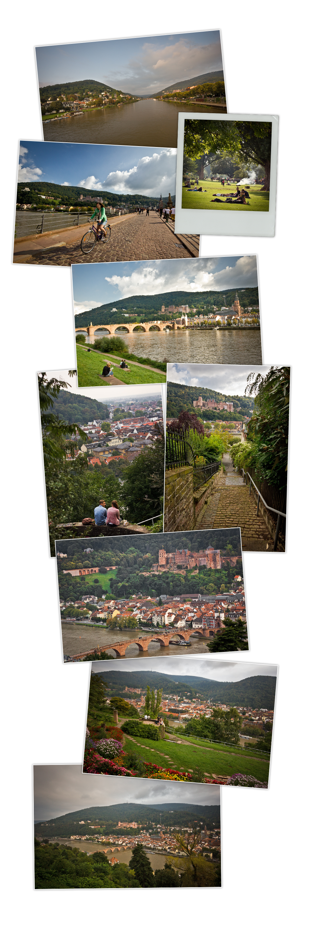 mep Heidelberg _ riviere