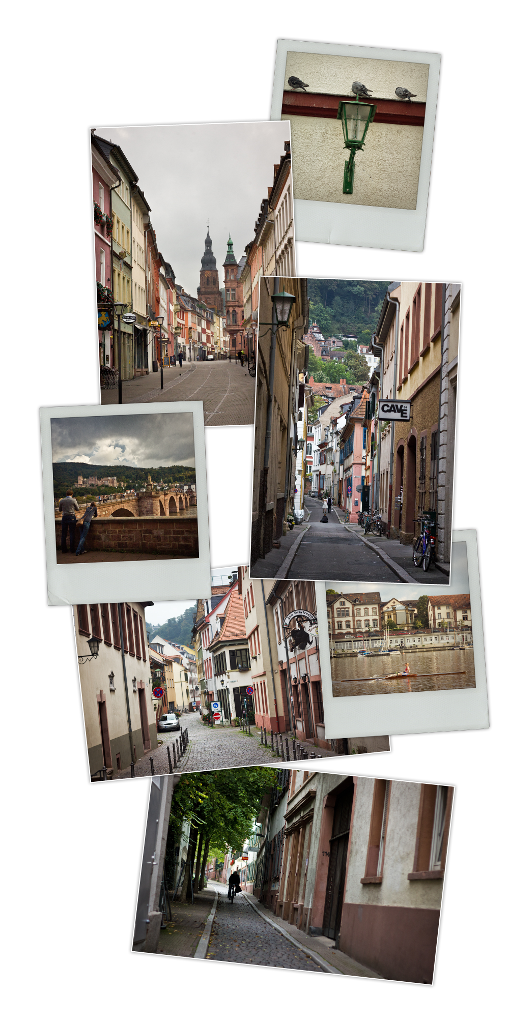 mep Heidelberg _ ville vide