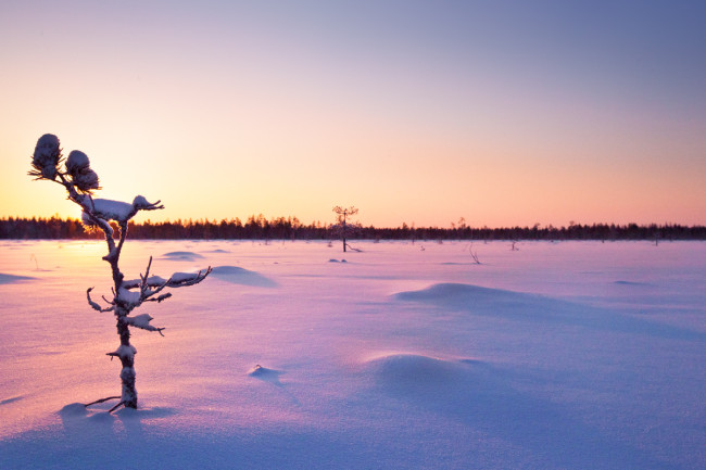 Faire des photos quand il fait froid