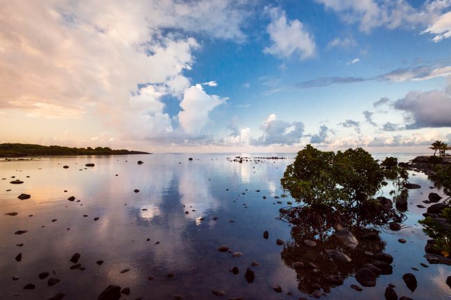 aamiot_ile-maurice-et-rodrigues_img_8603