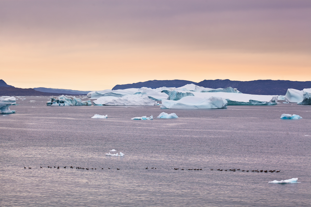 Saqqaq, voyage au Groenland