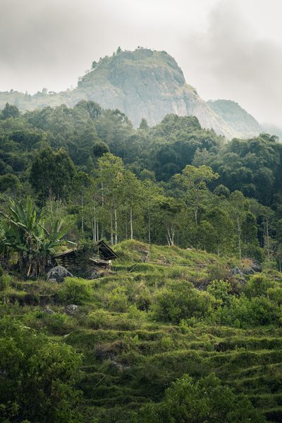 Le mont Sesan, au coeur du Pays Toraja